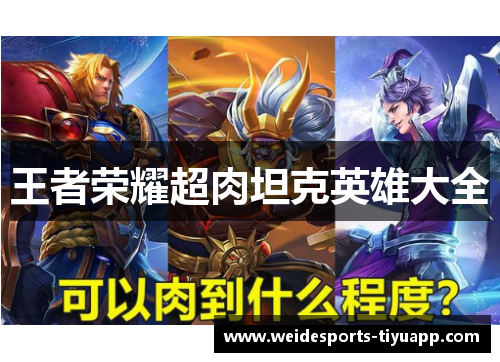 王者荣耀超肉坦克英雄大全