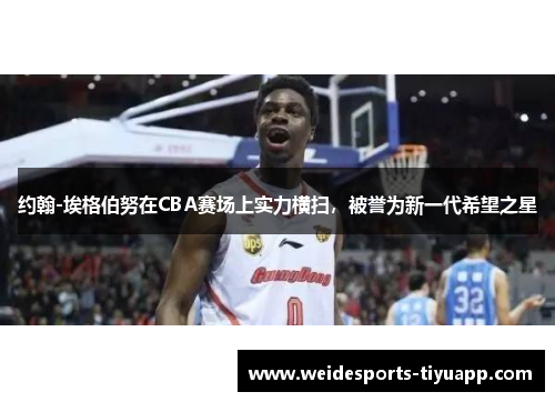 约翰-埃格伯努在CBA赛场上实力横扫，被誉为新一代希望之星