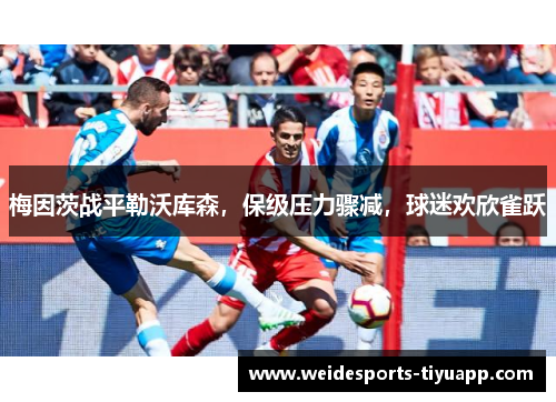 梅因茨战平勒沃库森，保级压力骤减，球迷欢欣雀跃